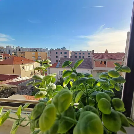 Marilu Split, Self Check In スプリト