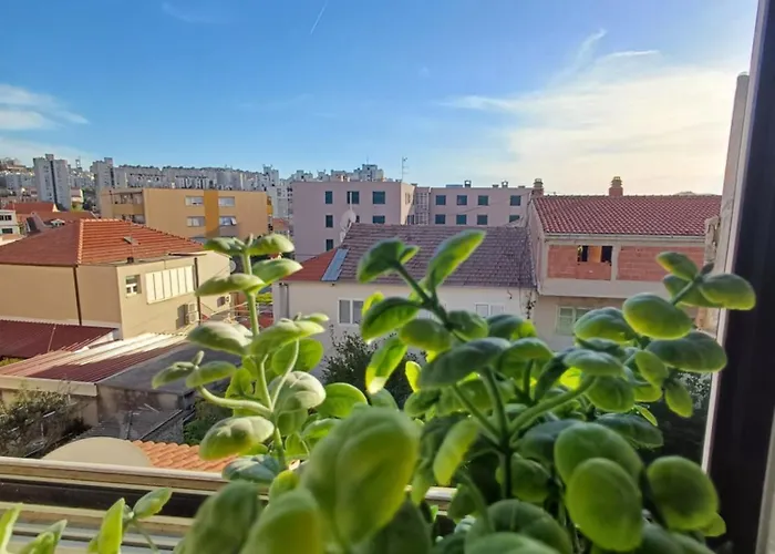 Marilu Split, Self Check In Split